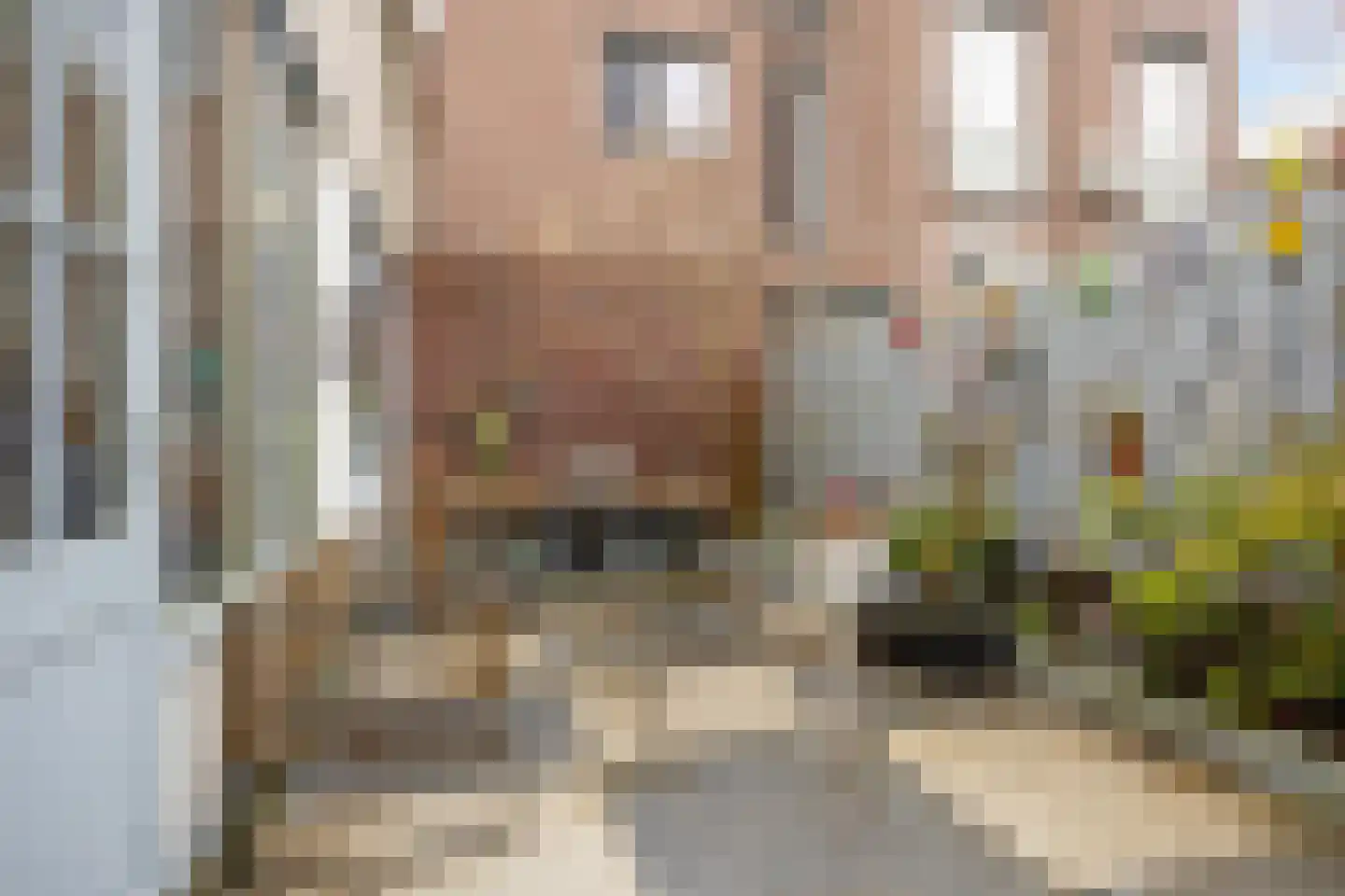 Schoolmeestersstraat 52 Zaandam thumbnail 31