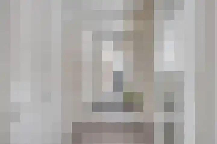 Schoolmeestersstraat 6 Zaandam thumbnail 11