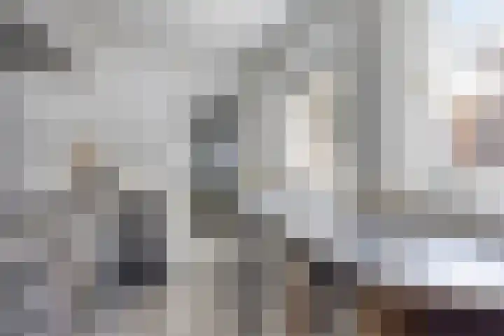 Schoolmeestersstraat 6 Zaandam thumbnail 8