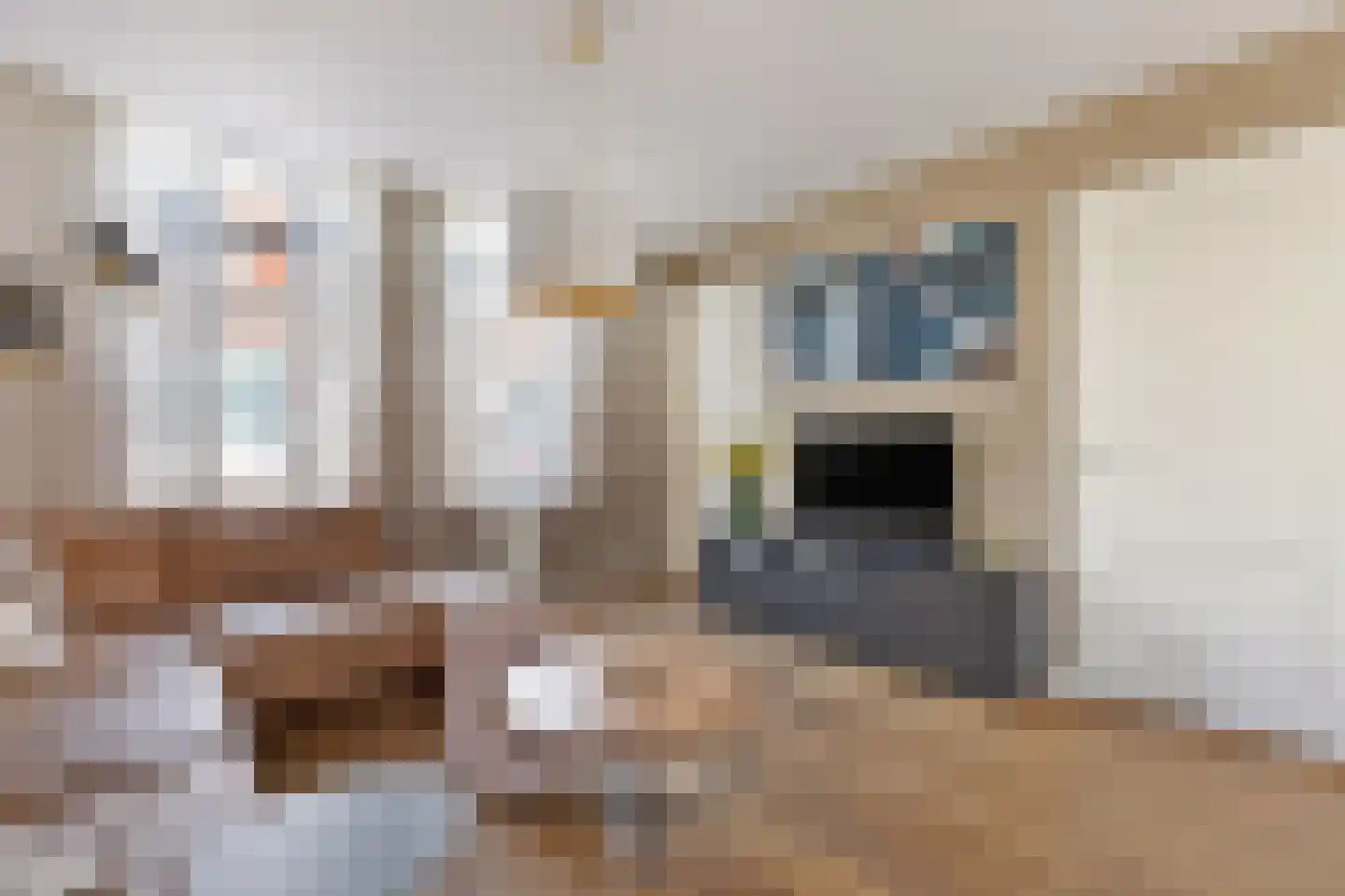 Schoolmeestersstraat 70 Zaandam thumbnail 7