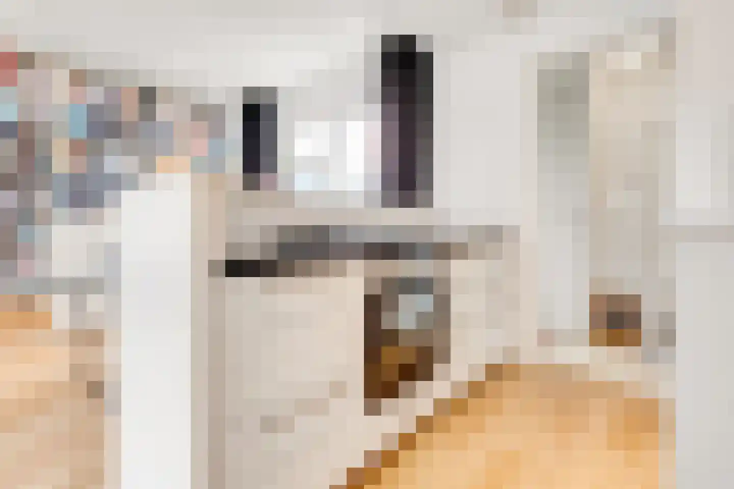 Schoolmeestersstraat 83 Zaandam thumbnail 8