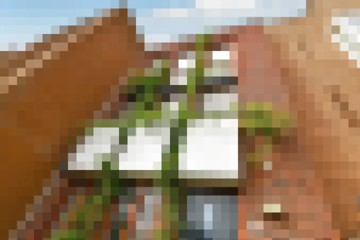 Schoolmeesterwaard 23 Arnhem thumbnail 48
