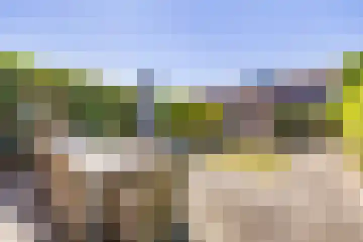 Schoolmeesterwaard 29 Arnhem thumbnail 30