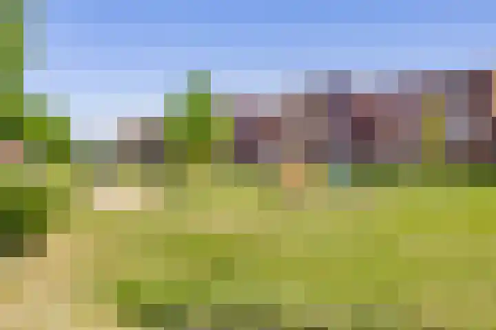 Schoolmeesterwaard 29 Arnhem thumbnail 32