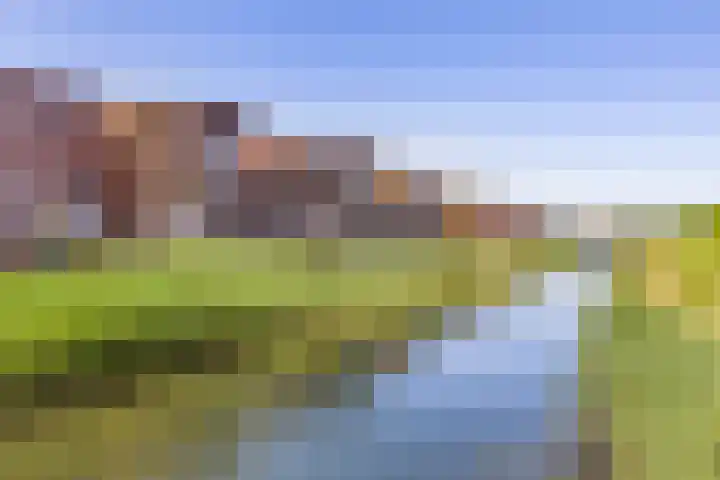 Schoolmeesterwaard 29 Arnhem thumbnail 40