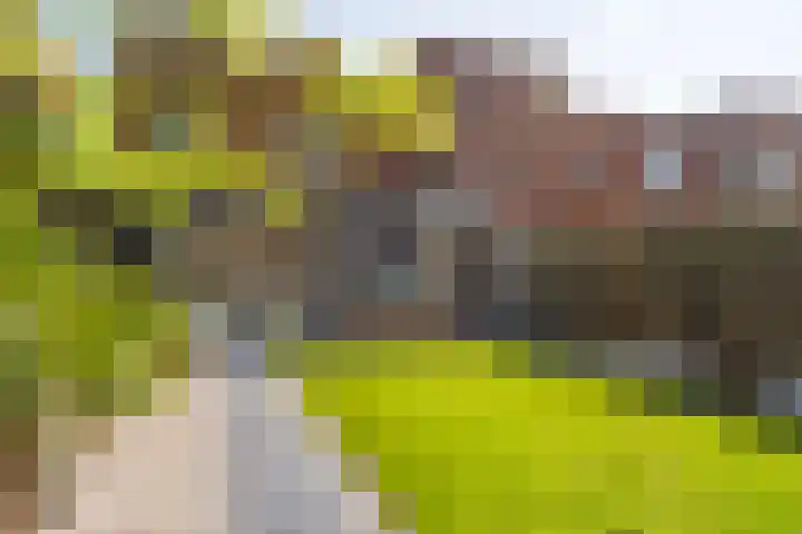 Schoolmeesterwaard 31 Arnhem thumbnail 11