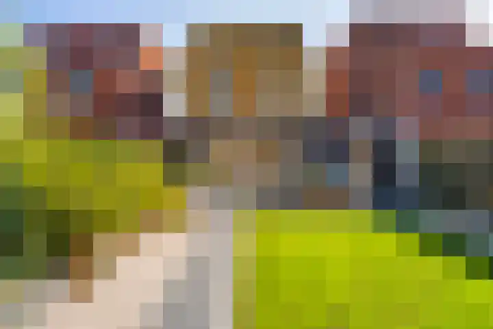 Schoolmeesterwaard 31 Arnhem thumbnail 12