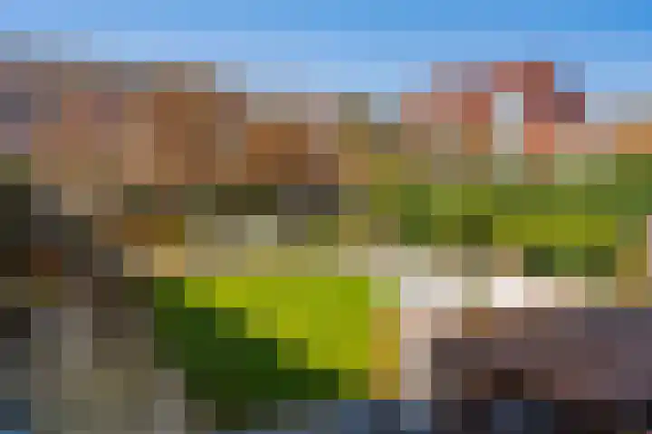 Schoolmeesterwaard 31 Arnhem thumbnail 14