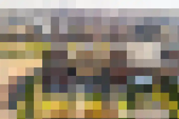 Schoolmeesterwaard 31 Arnhem thumbnail 21