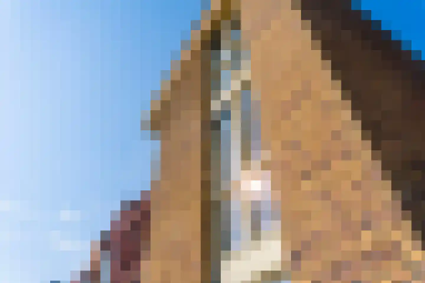 Schoolmeesterwaard 31 Arnhem thumbnail 35