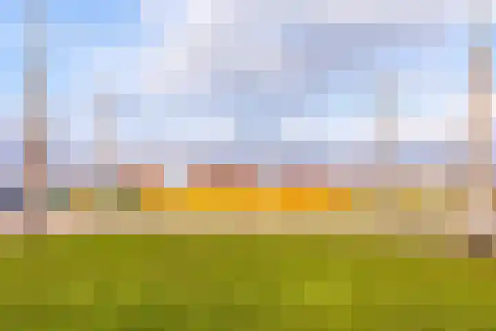Schoolmeesterwaard 31 Arnhem thumbnail 39