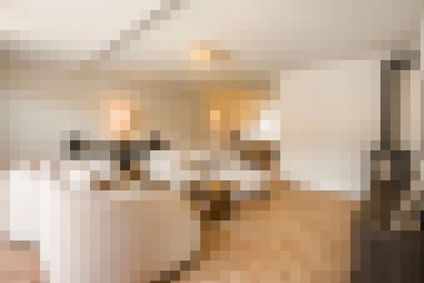 Schoolmeesterwaard 31 Arnhem thumbnail 4