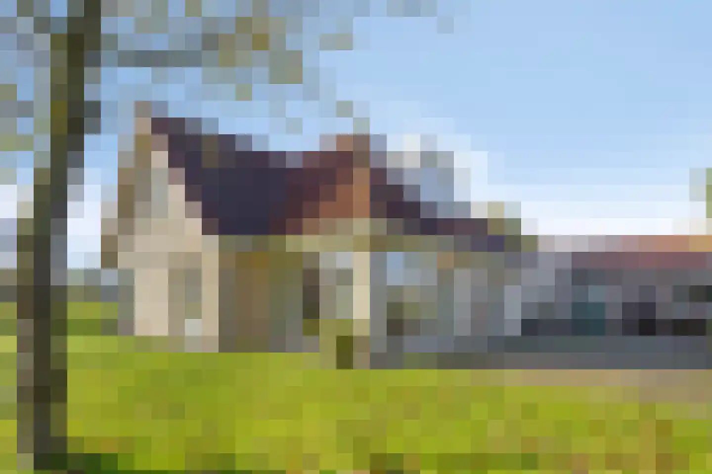Schoolpad 1 Noordscheschut thumbnail 4