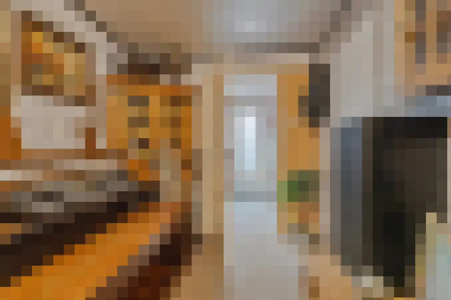 Schoolpad 1 Noordscheschut thumbnail 46