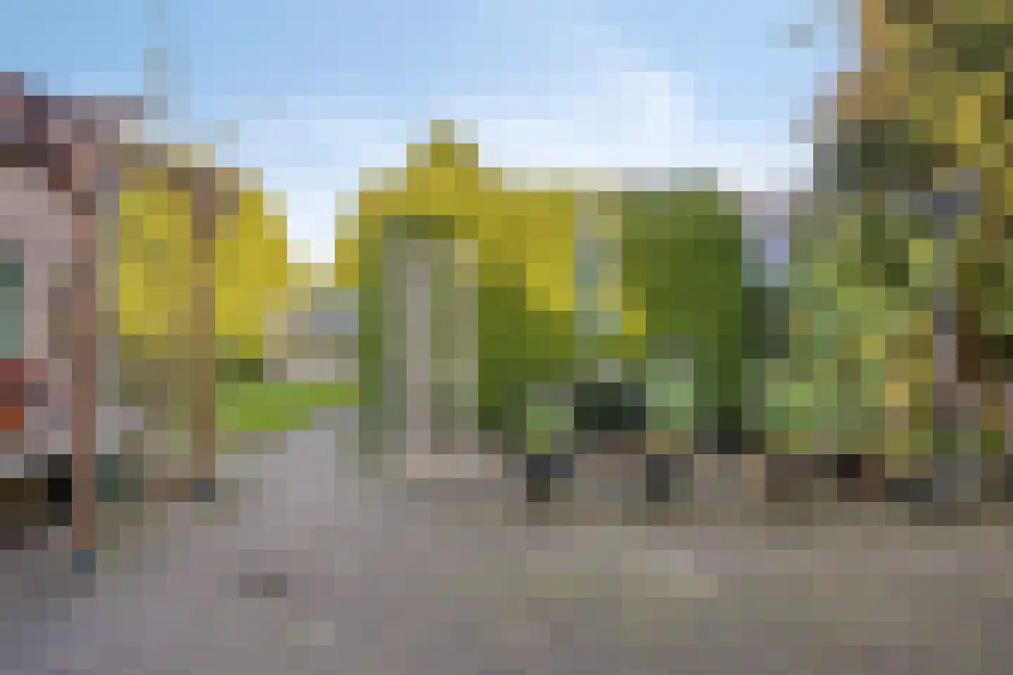 Schoolpad 1 Noordscheschut thumbnail 71