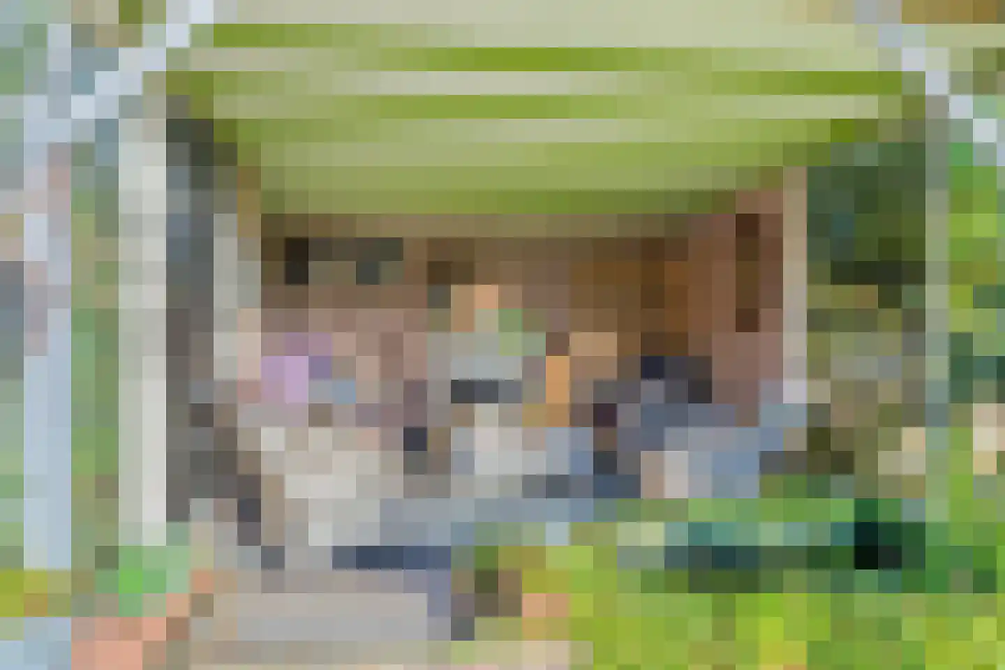 Schoolpad 1 Noordscheschut thumbnail 75