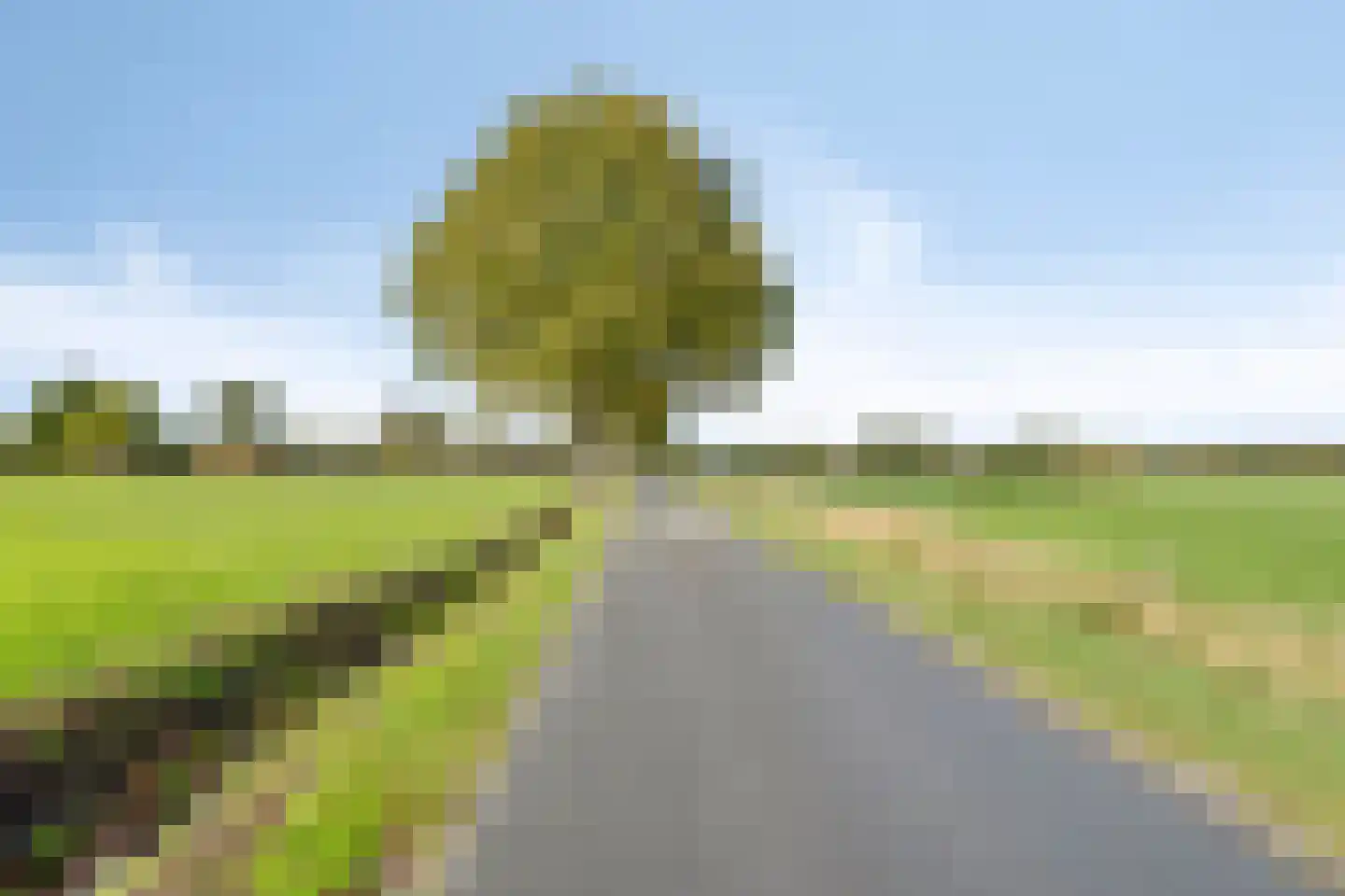 Schoolpad 1 Noordscheschut thumbnail 86