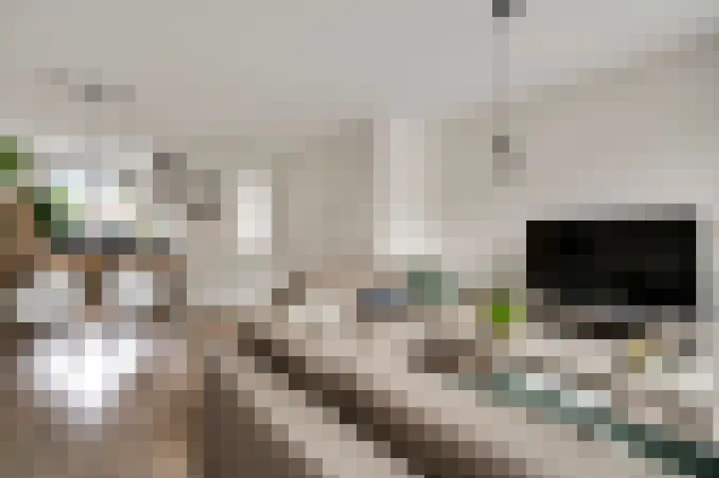Schoolpad 103 Roermond thumbnail 15