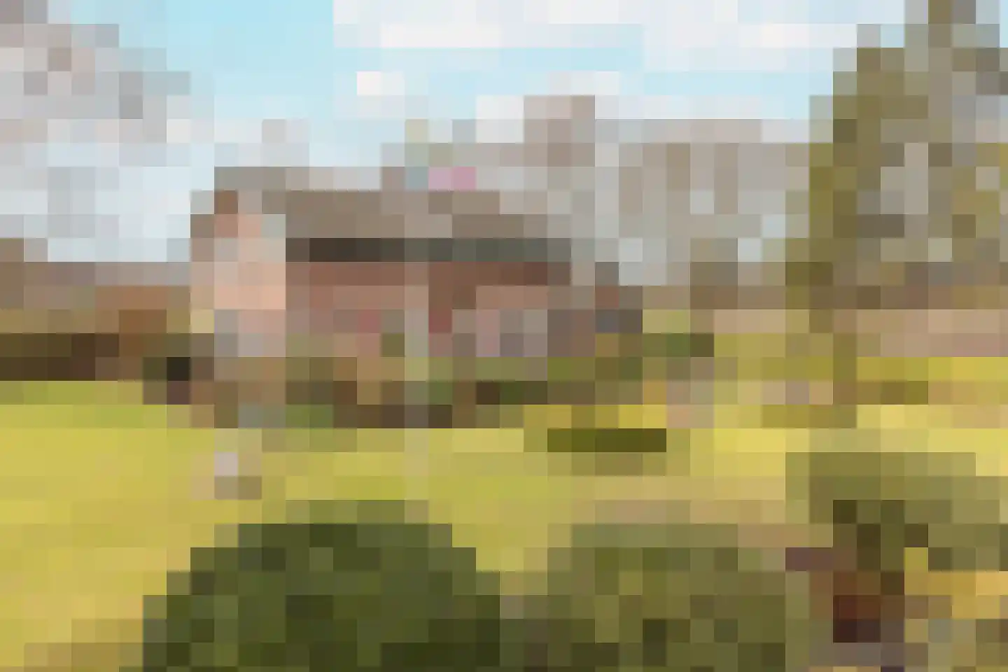 Schoolpad 15 Uddel thumbnail 5