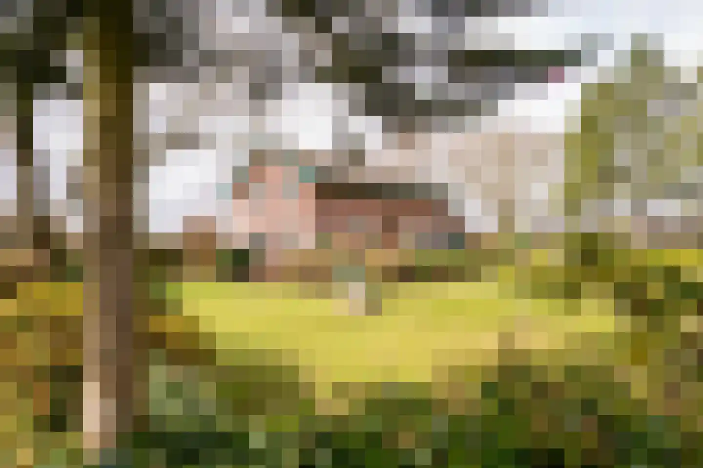 Schoolpad 15 Uddel thumbnail 7