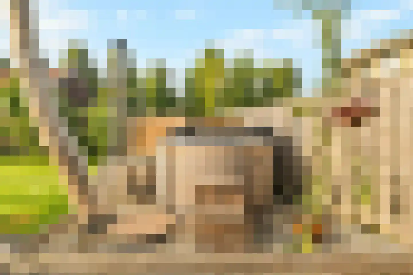 Schoolpad 2 Middenmeer thumbnail 35