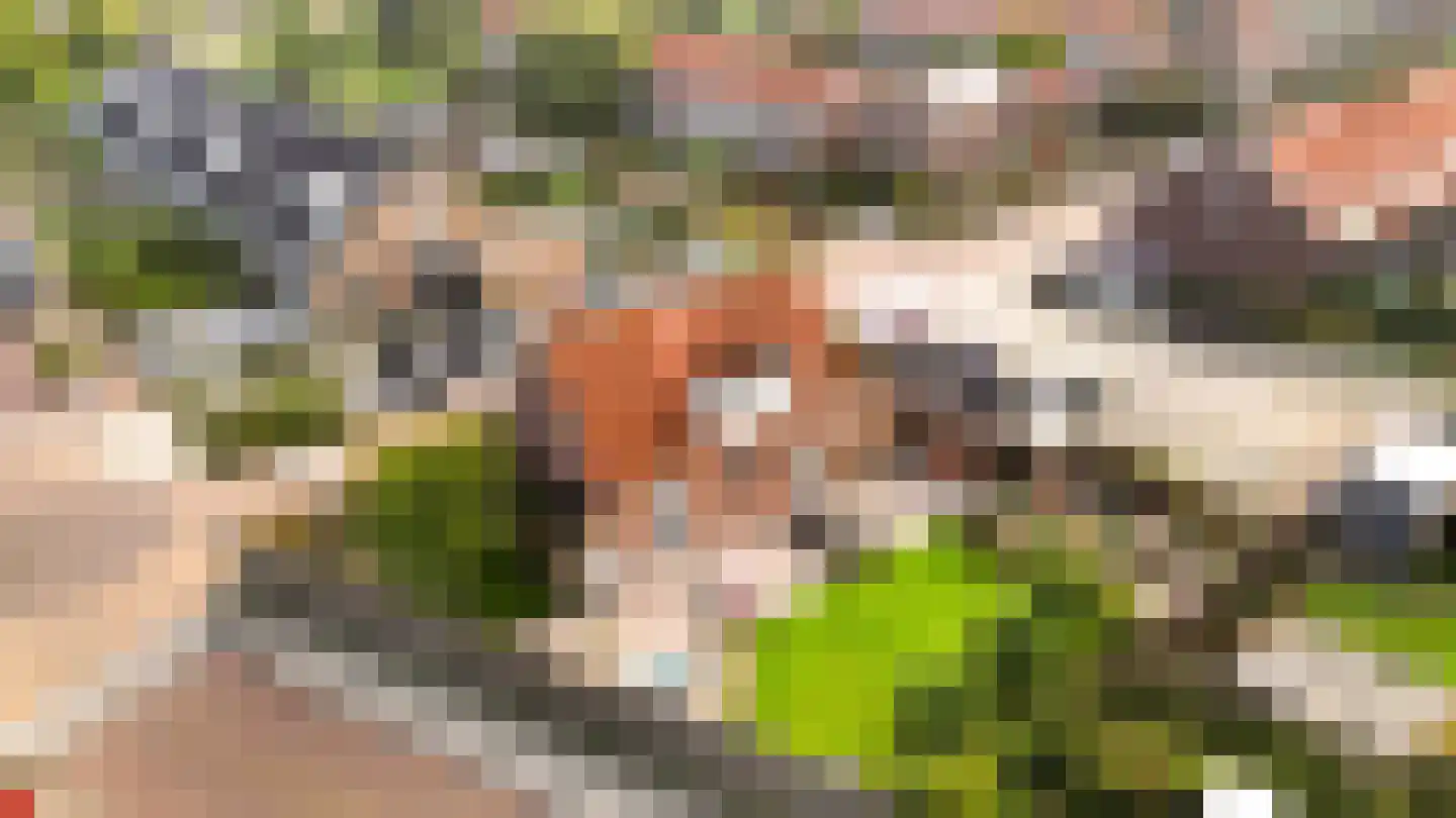 Schoolpad 2 Middenmeer thumbnail 41
