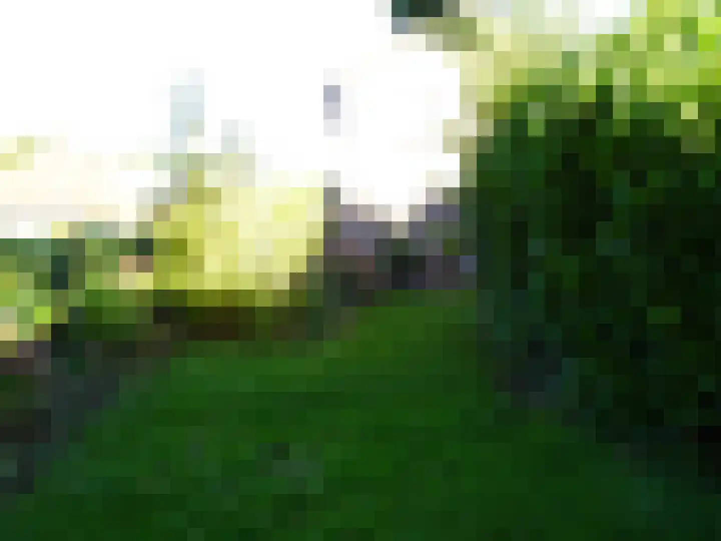 Schoolpad 21 Middenmeer thumbnail 21
