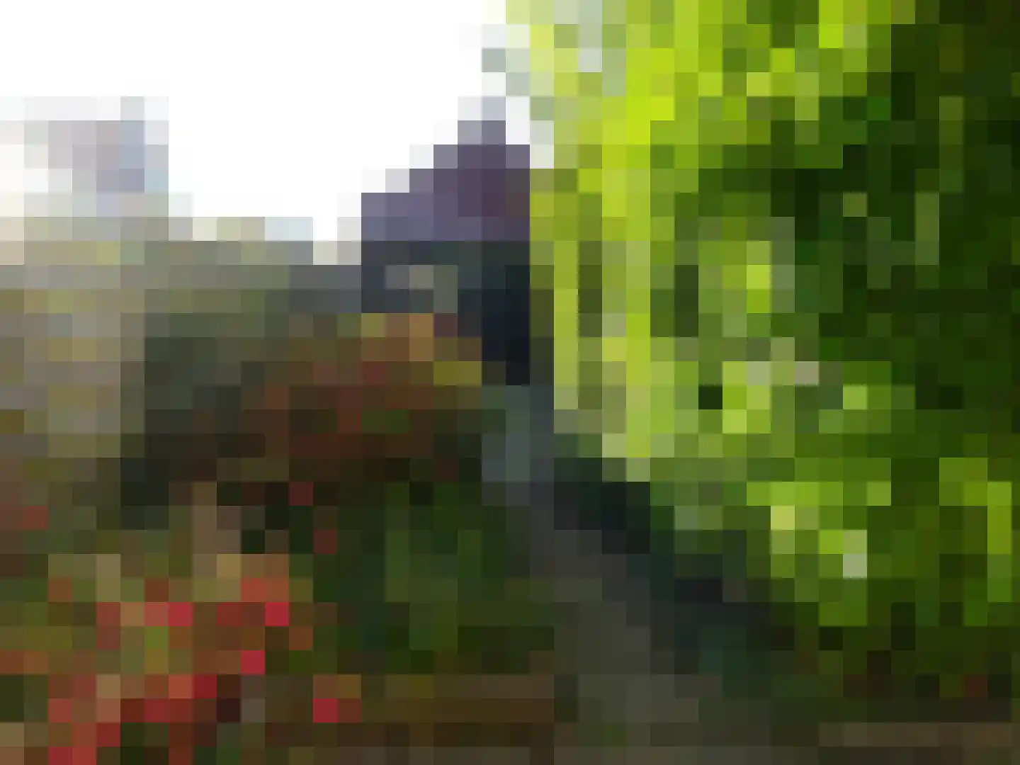 Schoolpad 21 Middenmeer thumbnail 22