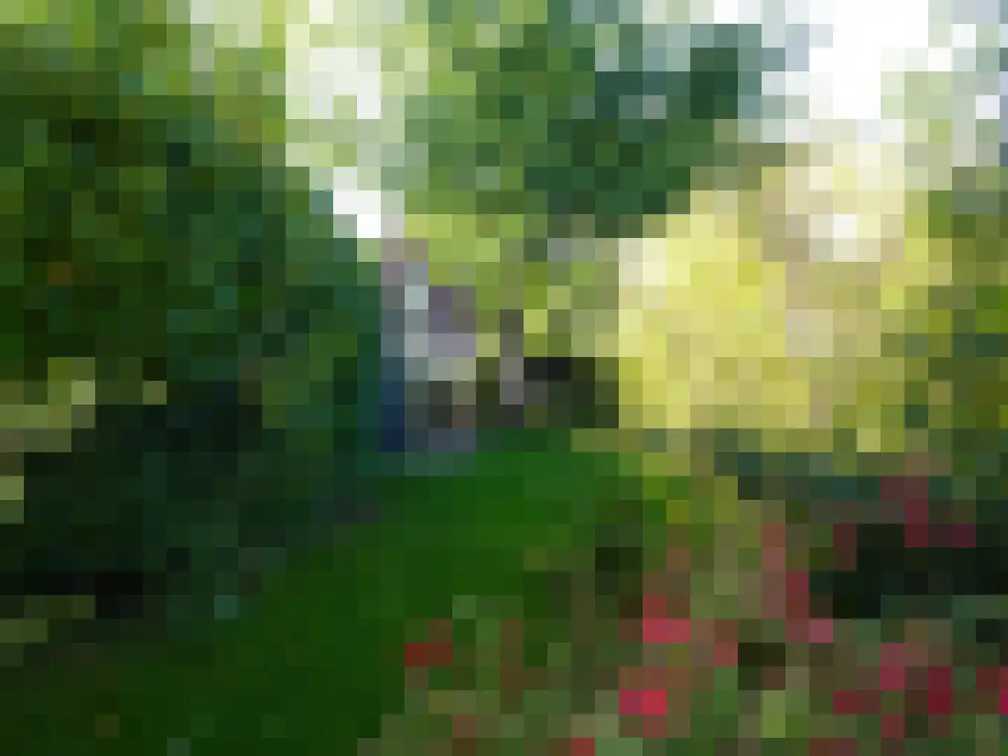 Schoolpad 21 Middenmeer thumbnail 5