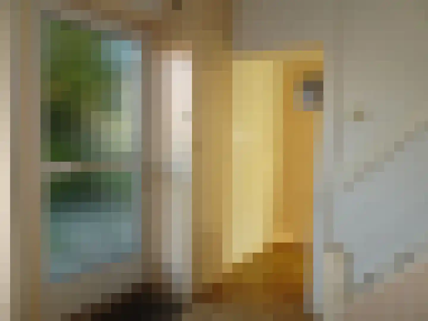 Schoolpad 21 Middenmeer thumbnail 7