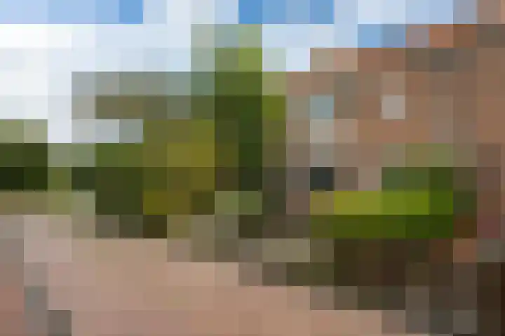 Schoolpad 31 Middenmeer thumbnail 4