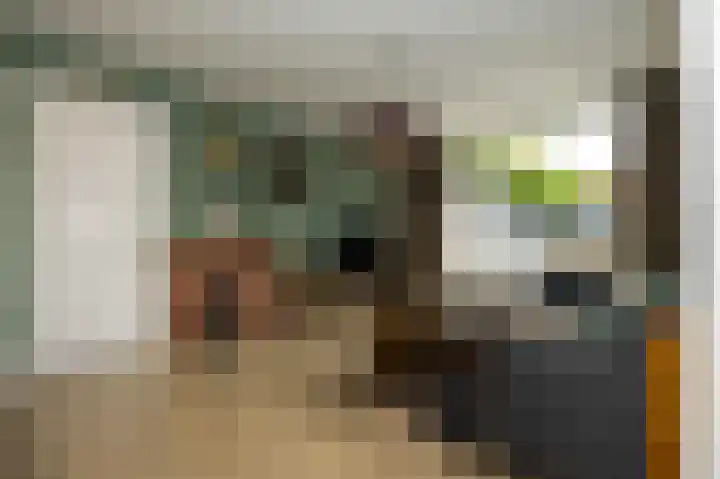 Schoolpad 31 Middenmeer thumbnail 6