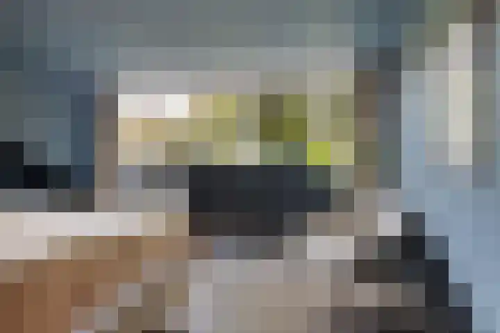 Schoolpad 35 Haren Gn thumbnail 32