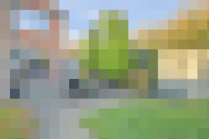 Schoolpad 37 Middenmeer thumbnail 30