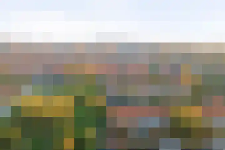 Schoolpad 37 Middenmeer thumbnail 34