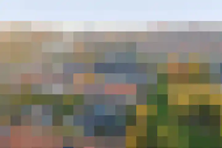 Schoolpad 37 Middenmeer thumbnail 35