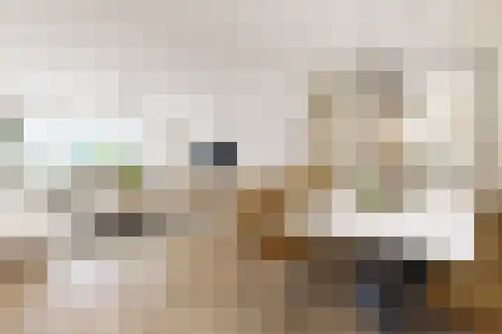 Schoolpad 4 Zaandijk thumbnail 10