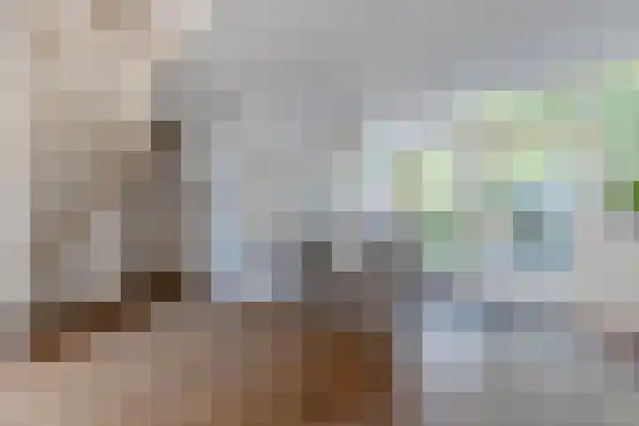 Schoolpad 4 Zaandijk thumbnail 11