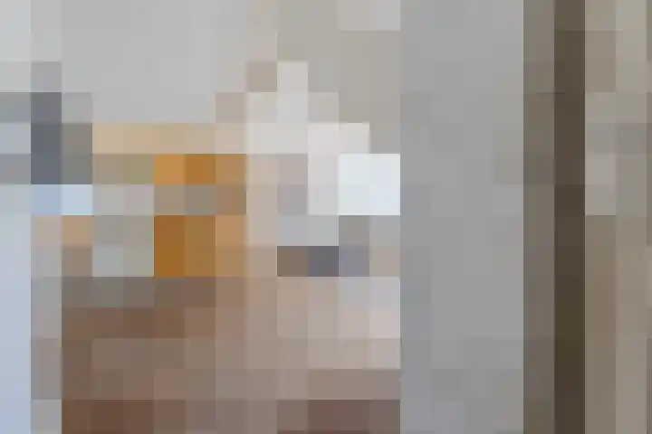 Schoolpad 4 Zaandijk thumbnail 18