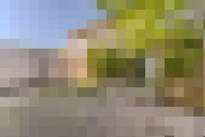 Schoolpad 4 Zaandijk thumbnail 20