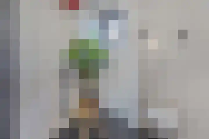 Schoolpad 4 Zaandijk thumbnail 24