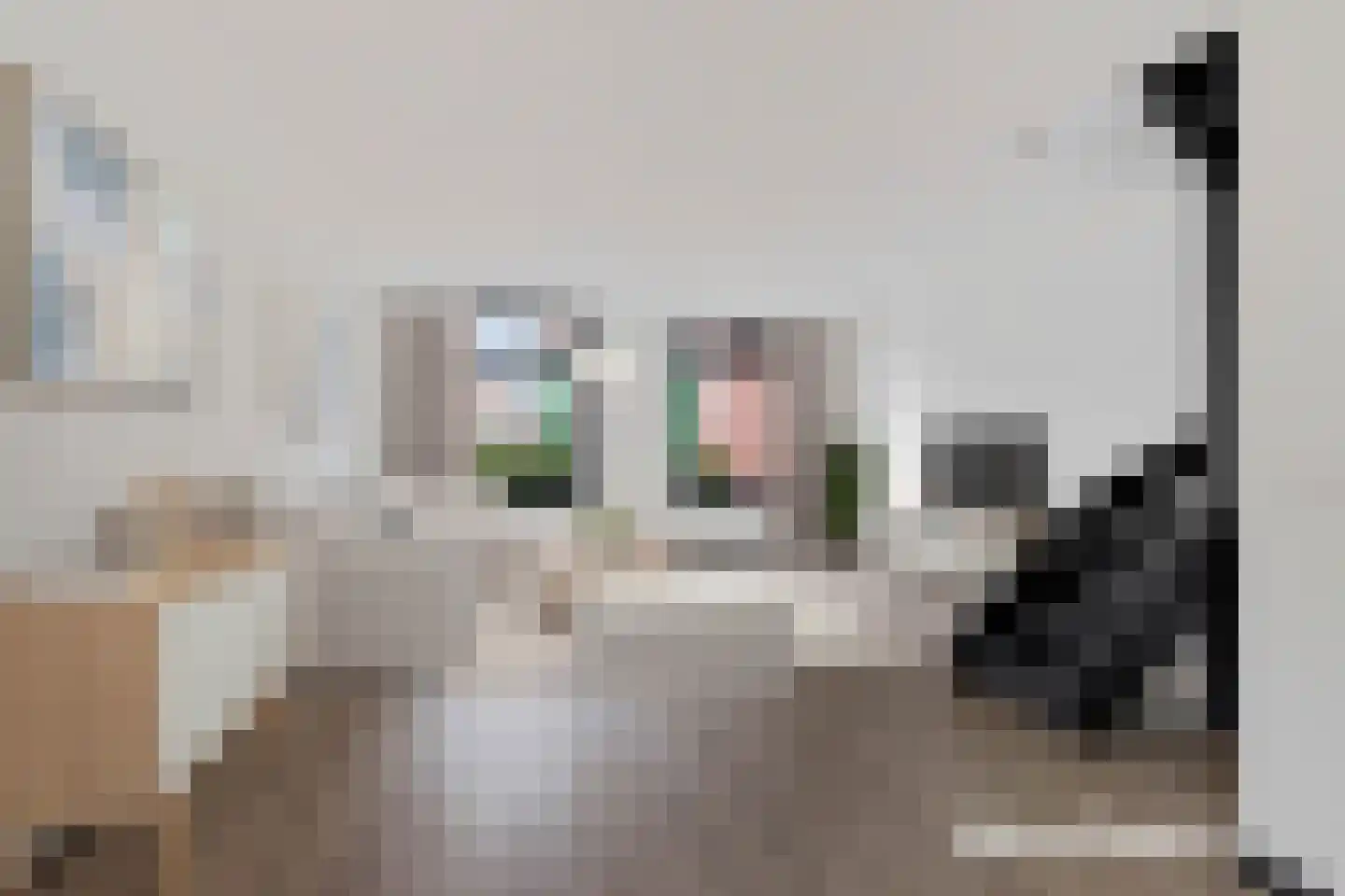 Schoolpad 4 Zaandijk thumbnail 5