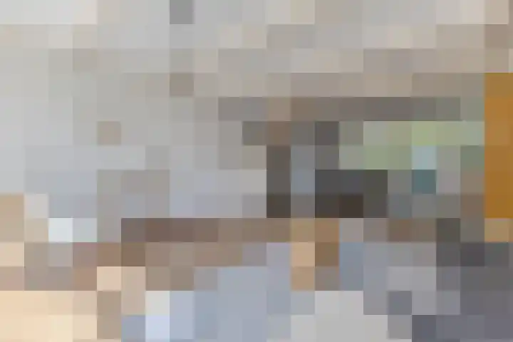 Schoolpad 4 Zaandijk thumbnail 7