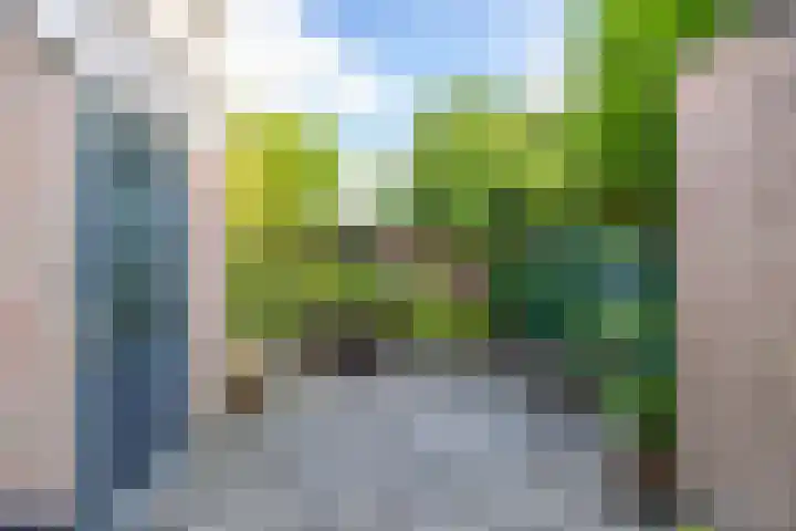 Schoolpad 43 Haren Gn thumbnail 26