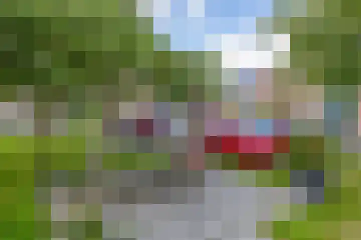 Schoolpad 43 Haren Gn thumbnail 34