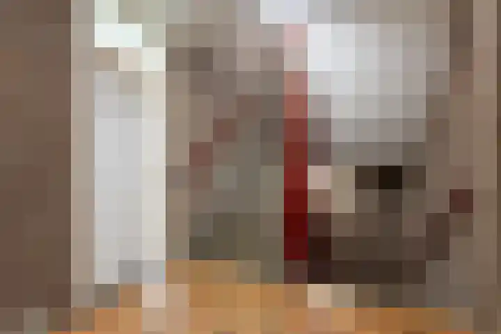 Schoolpad 45 Roermond thumbnail 10