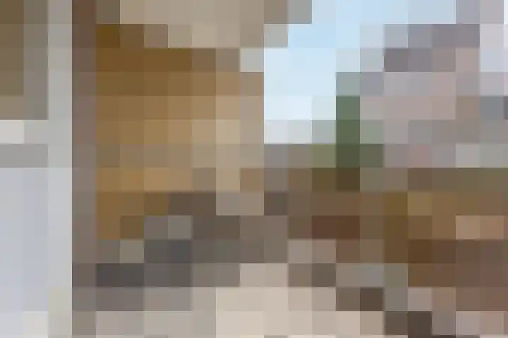 Schoolpad 45 Roermond thumbnail 14