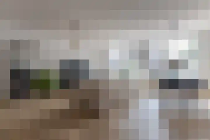 Schoolpad 45 Roermond thumbnail 24