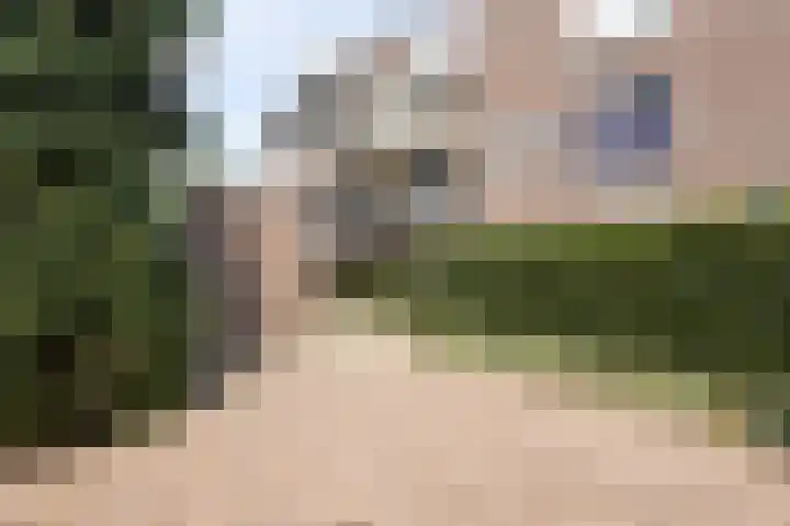Schoolpad 45 Roermond thumbnail 5