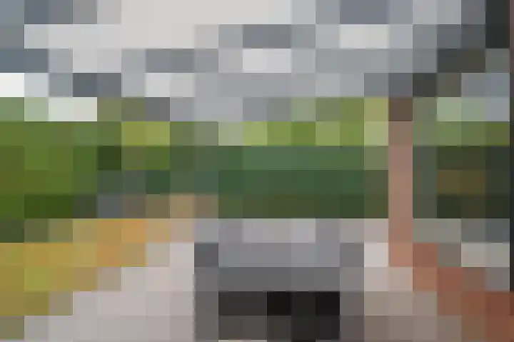 Schoolpad 50 Roermond thumbnail 45